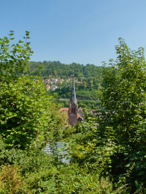 Stadtkirche Calw